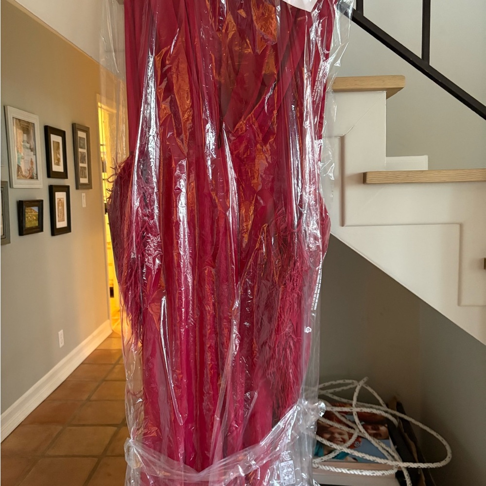 Elegant Red Gown by Bronx and Banco. Feather sleeves so gorg.